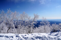 夢氷（霧氷）