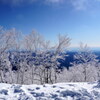 夢氷（霧氷）