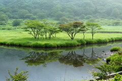 早朝の覚満淵