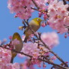 春のジュエット