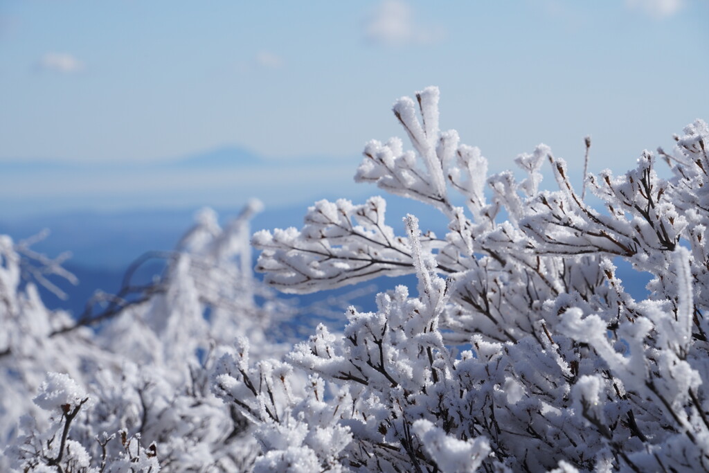 筑波山と萌え雪