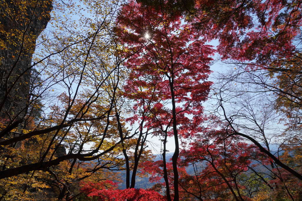 秋の岩櫃山