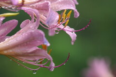 雨の日に　２