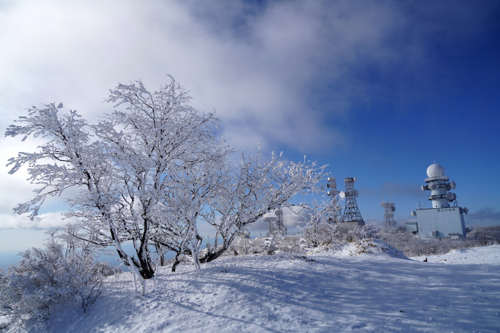 雪化粧のアンテナ群
