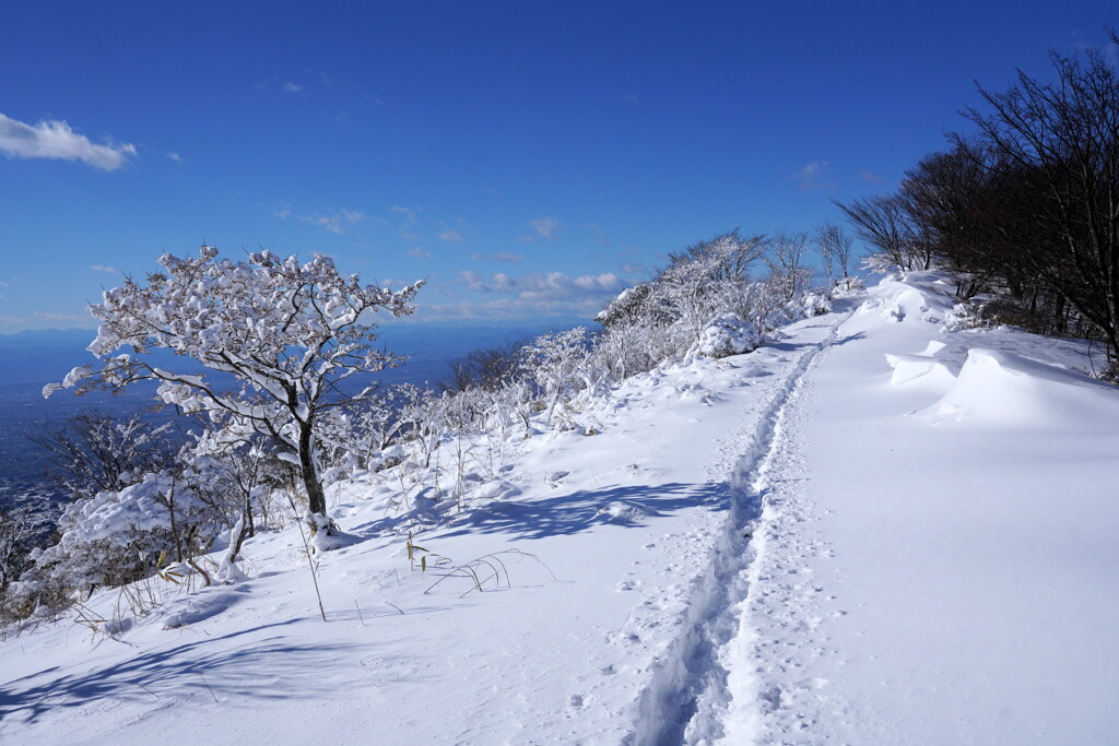 雪景色に一筋