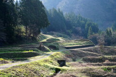 里山の風景