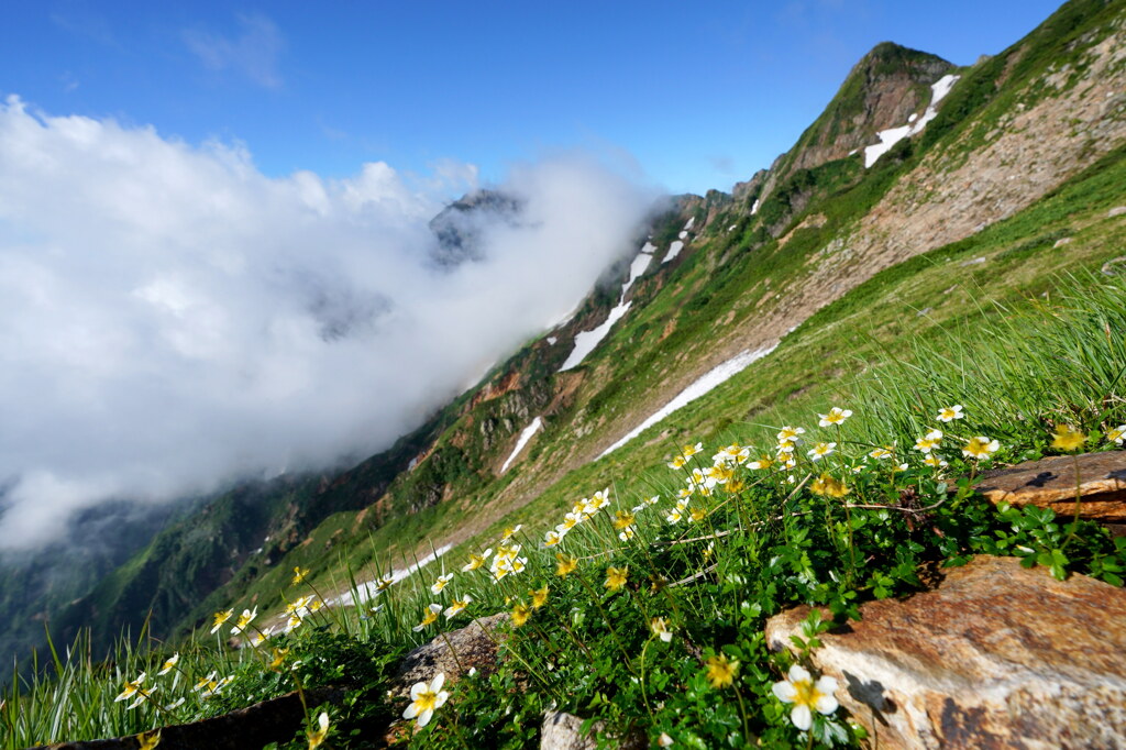 雲から覗く五竜岳