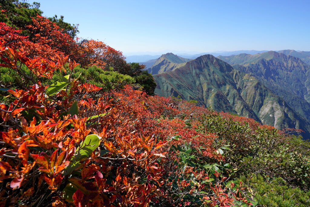 紅葉の谷川連峰