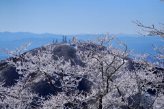 霧氷の花
