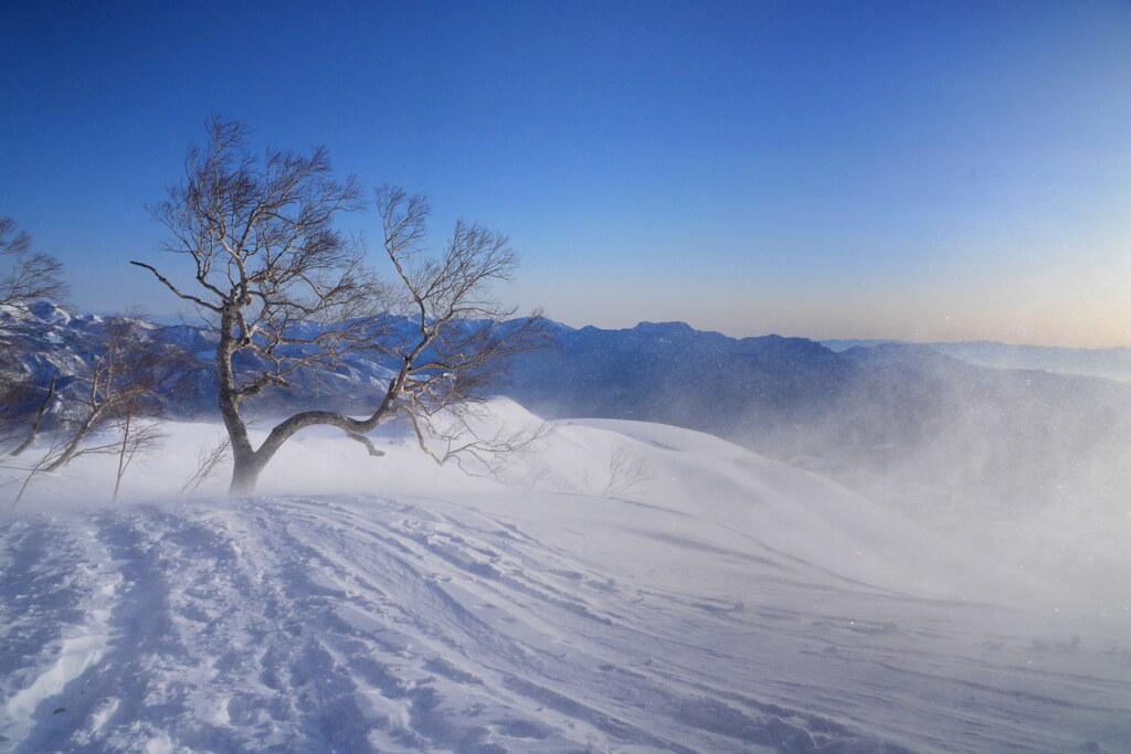 舞い上がる雪煙