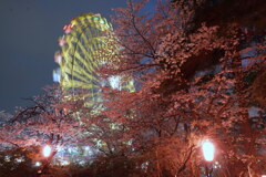 夜桜と大車輪
