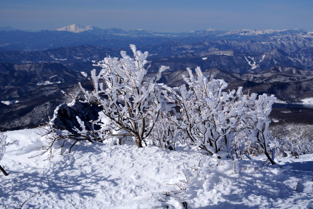 霧氷と浅間山