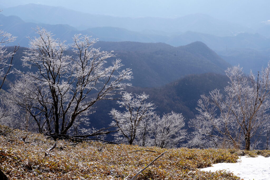 霧氷咲く赤城山