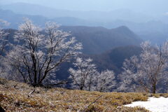霧氷咲く赤城山