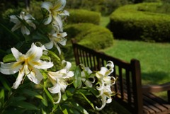 夏のベンチ