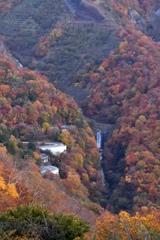 紅葉のいろは坂