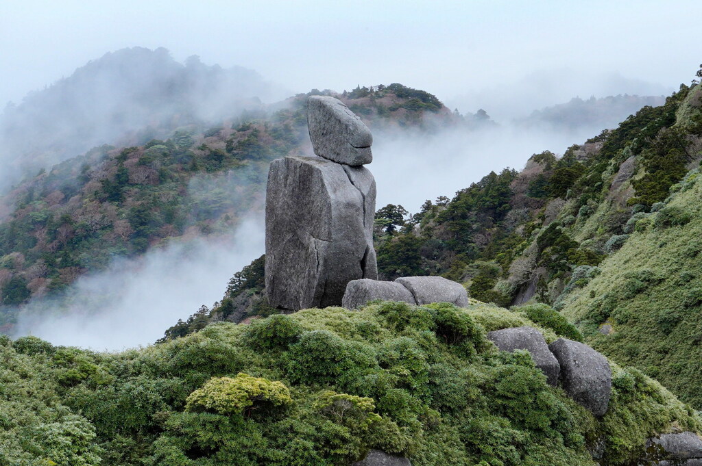 動きそうな岩