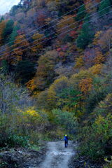 紅葉の彩る山道