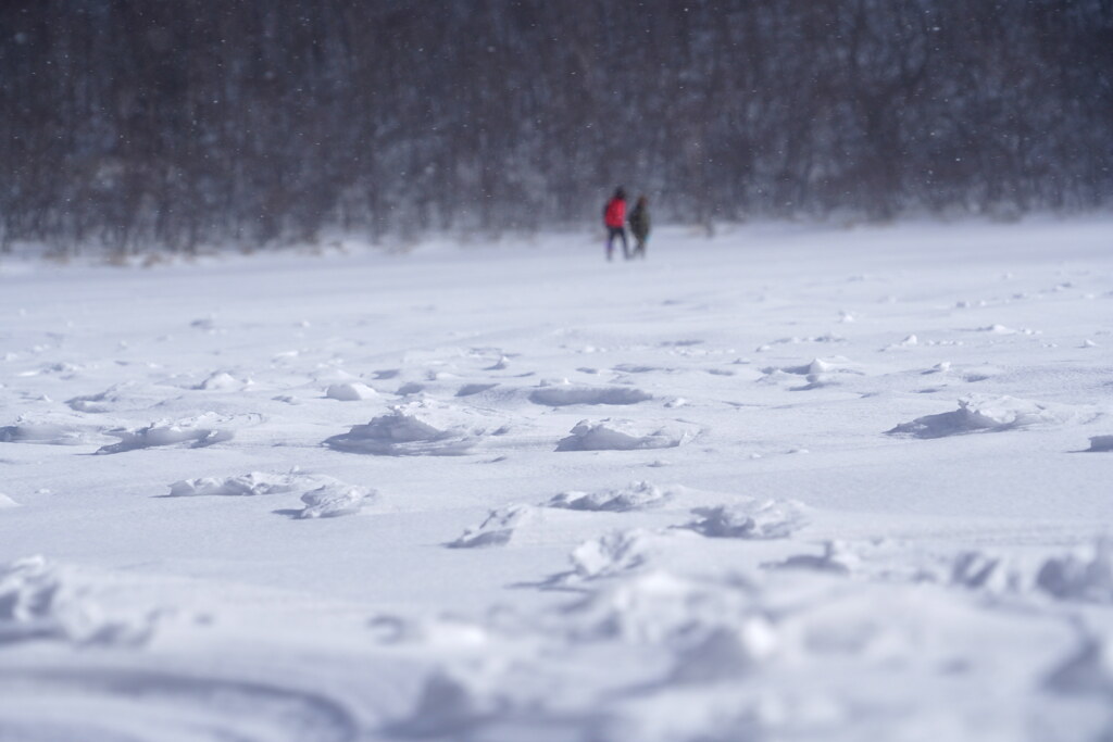 強風の氷上散歩