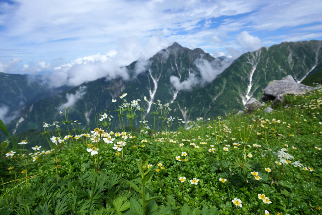 剱眺める花畑