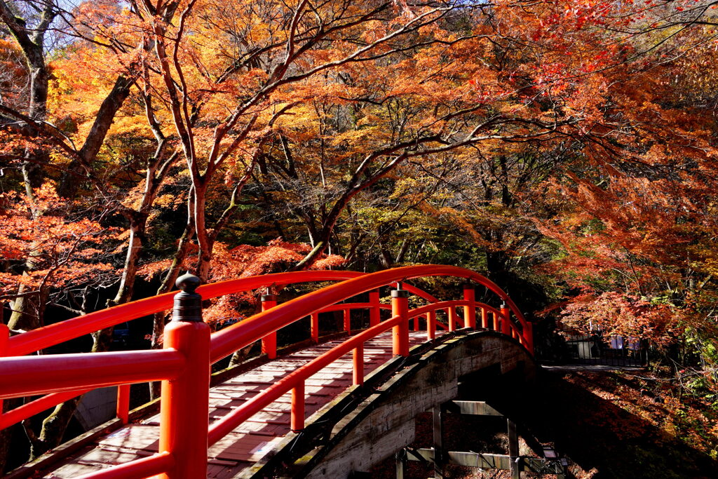 紅葉の河鹿橋