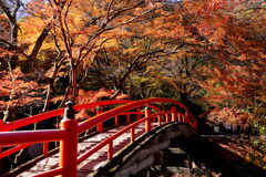 紅葉の河鹿橋