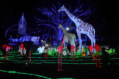 夜の動物園