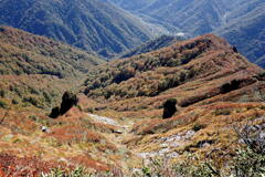 紅葉のジジババ岩