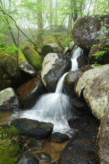 霧降る滝