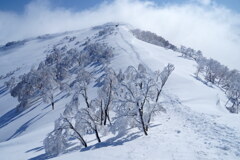 夢の霧氷ロード