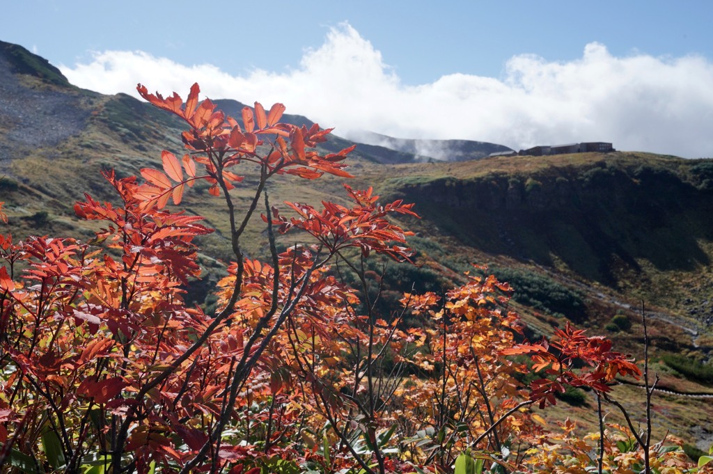 秋の立山室堂