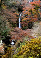 晩秋の秩父華厳の滝