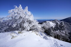 霧氷桜と水ノ登山
