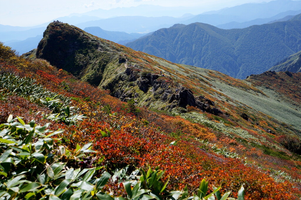 紅葉の稜線