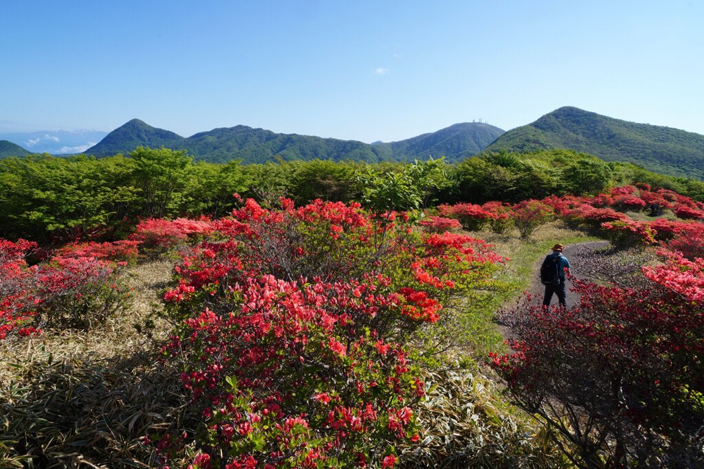 赤く染まる鍋割山