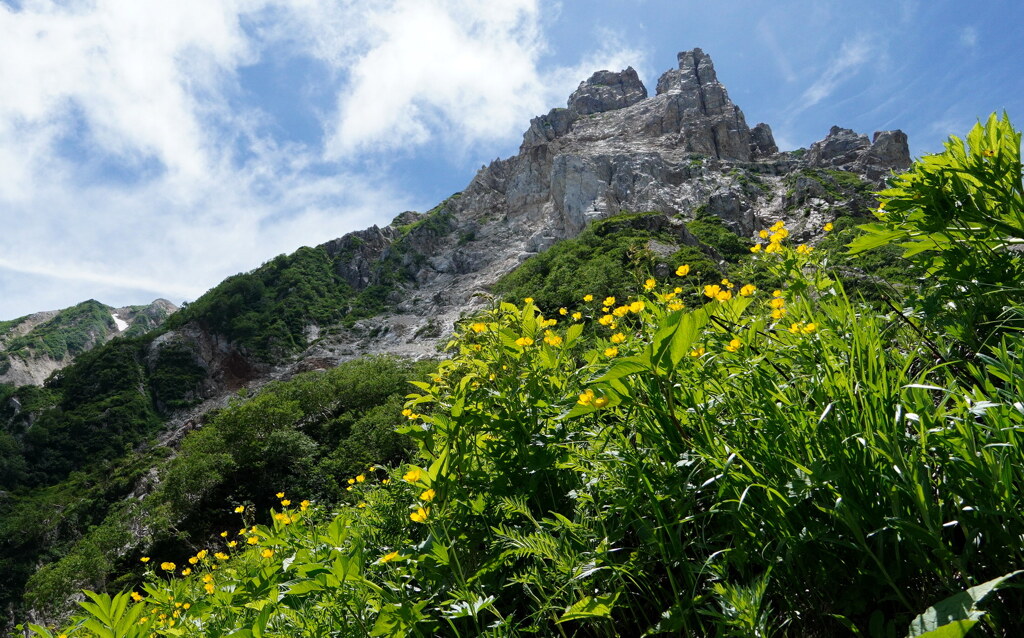 夏山へ