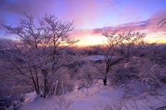 霧氷染まる夜明け