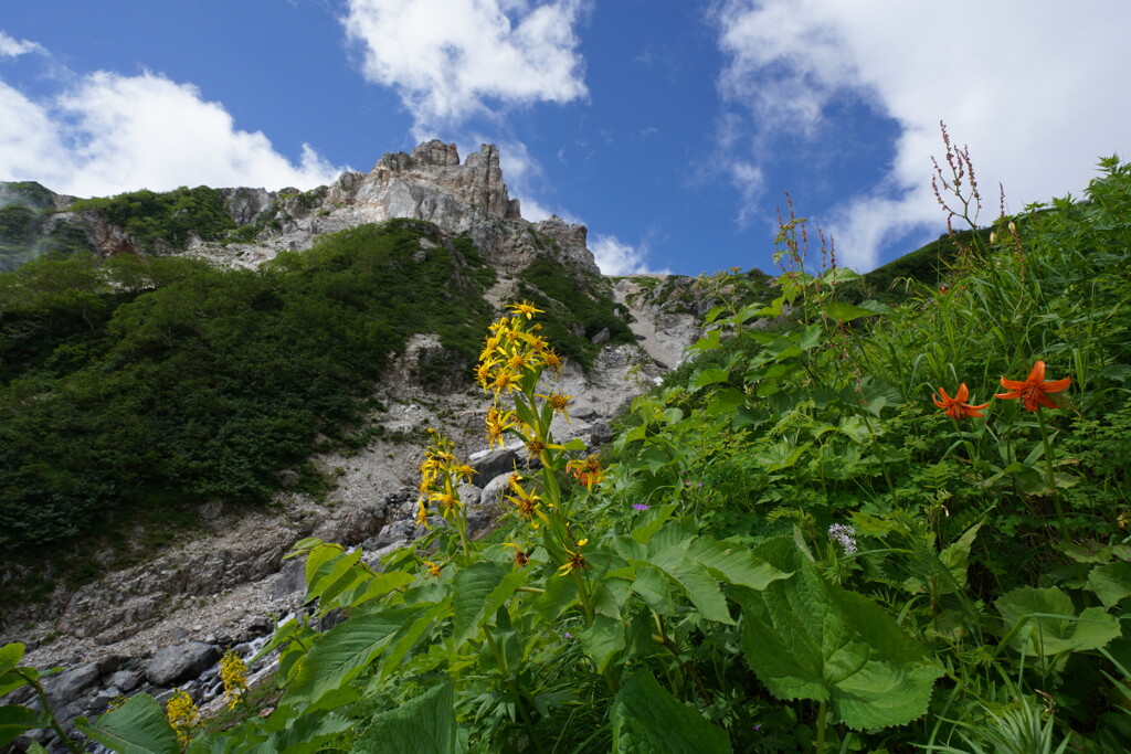 夏山到来、アルプスへ