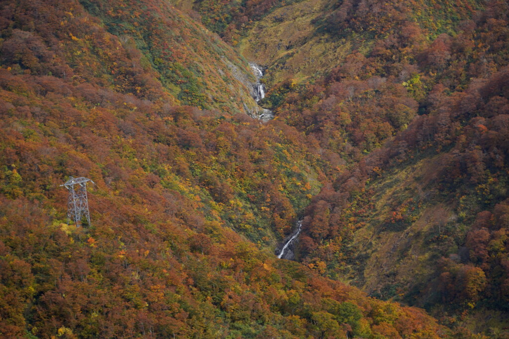 錦の谷