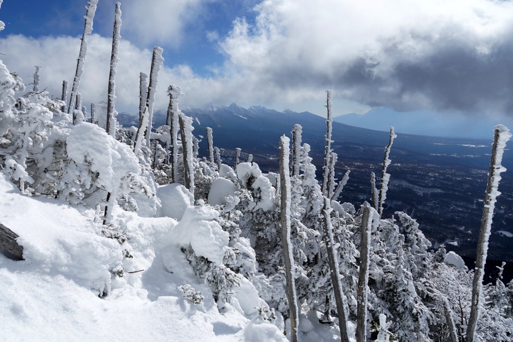 霧氷の蓼科山