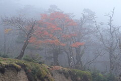 霧霞む晩秋