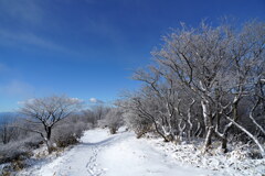 雪景色にららら♪