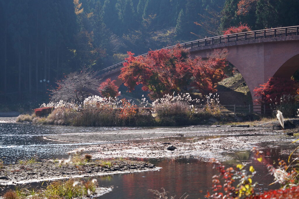 紅葉とアーチ