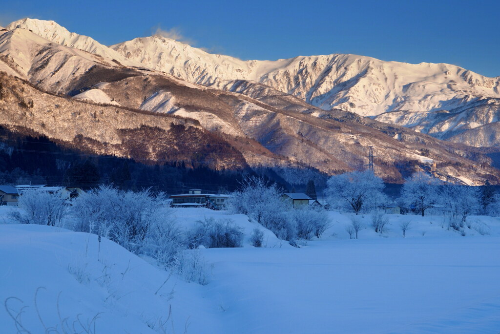 霧氷の白馬村