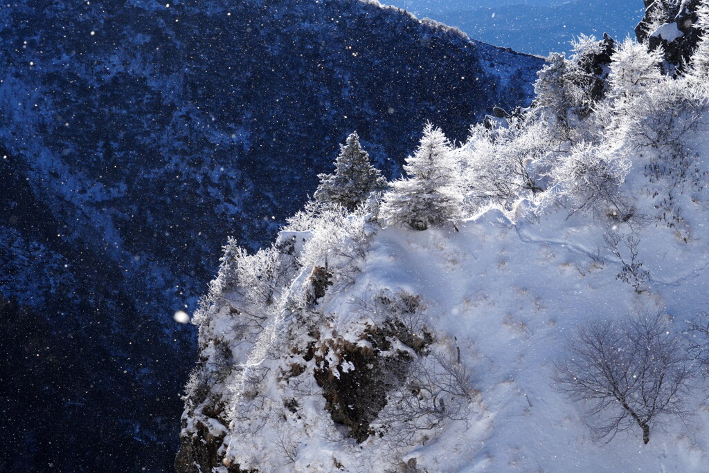 煌めく小雪