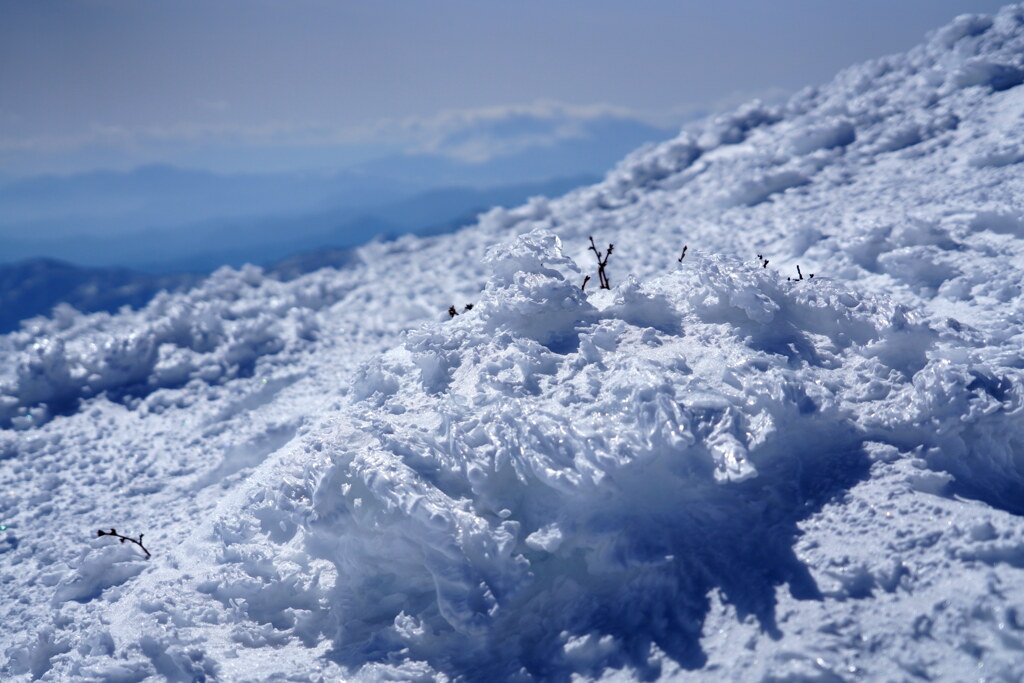 雪のエビシッポ