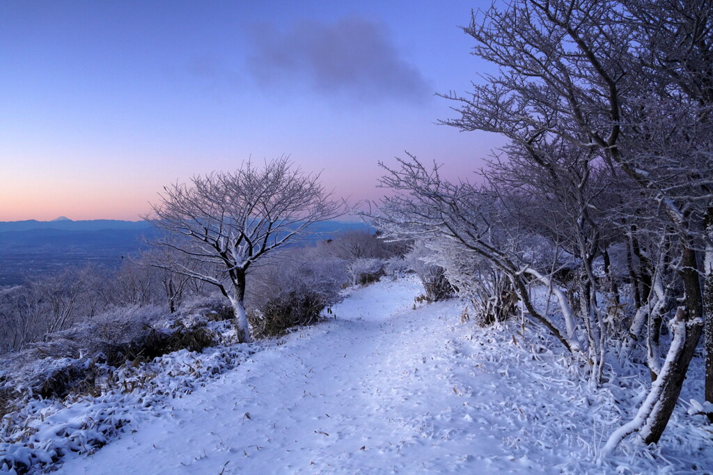 初雪の朝