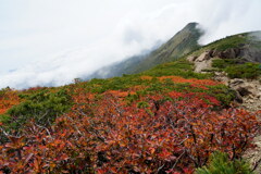 赤く染まる登山道