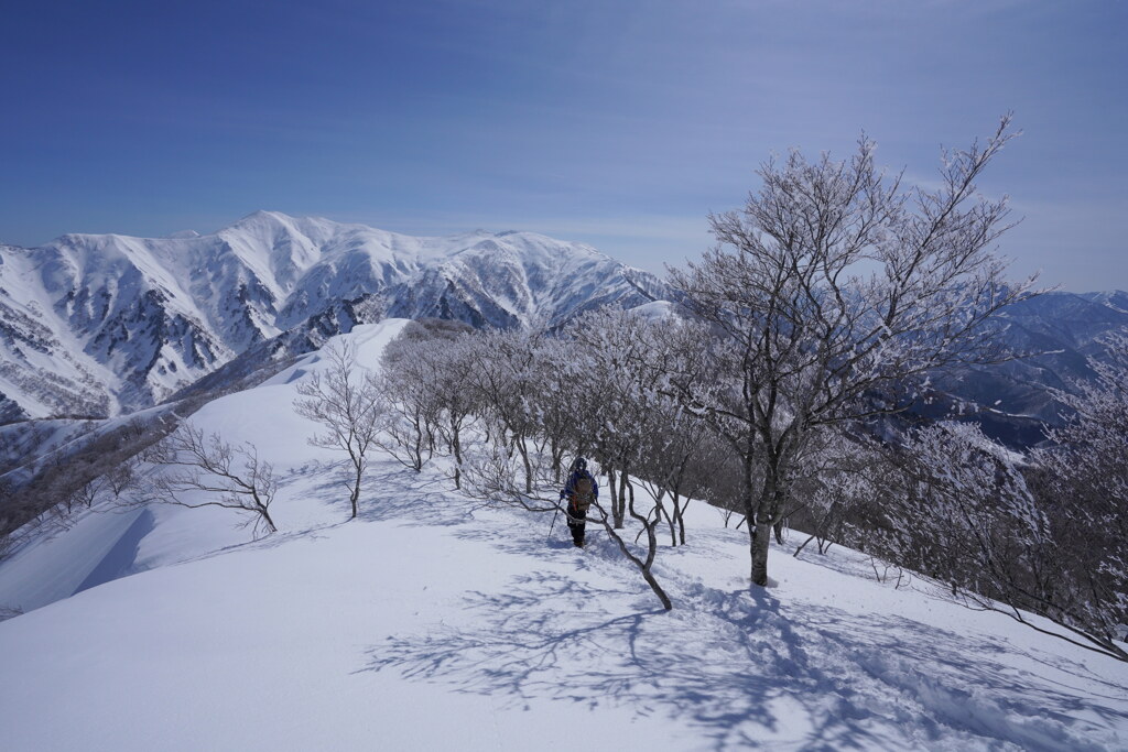 ３月の上越国境