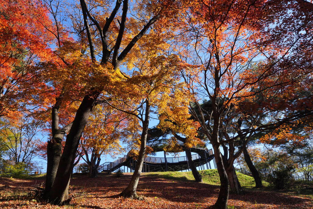 紅葉の伊香保上ノ山公園